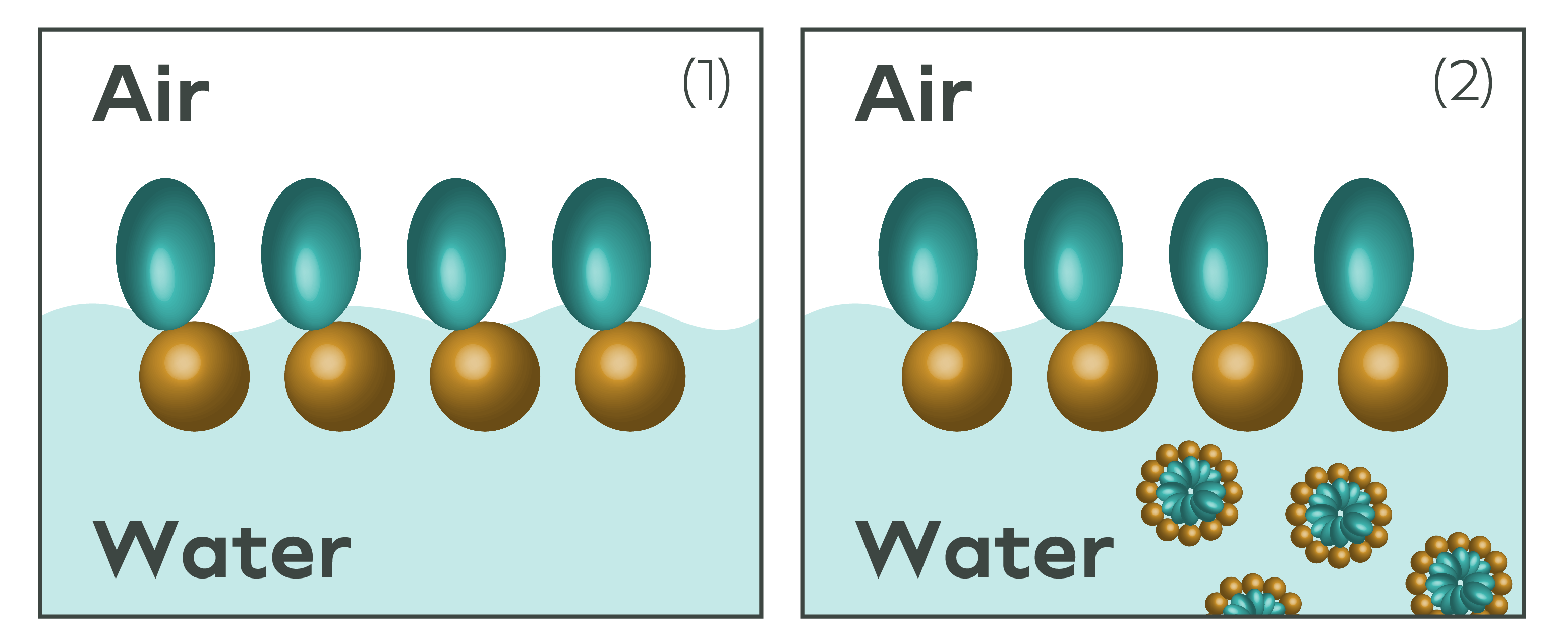 Illustration of micelle surfactant formation