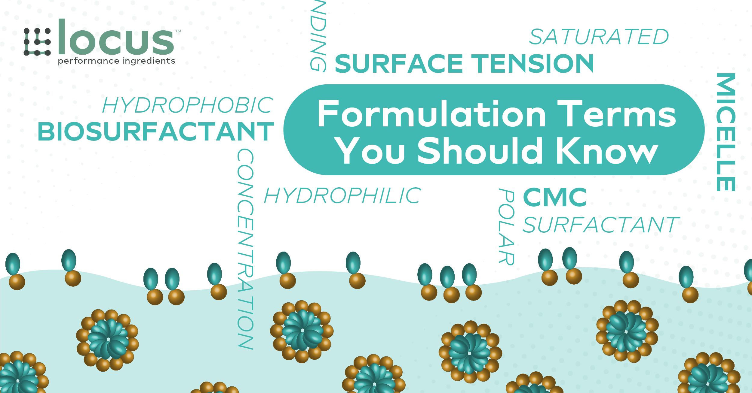 Formulation Terms You Should Know_surfactant