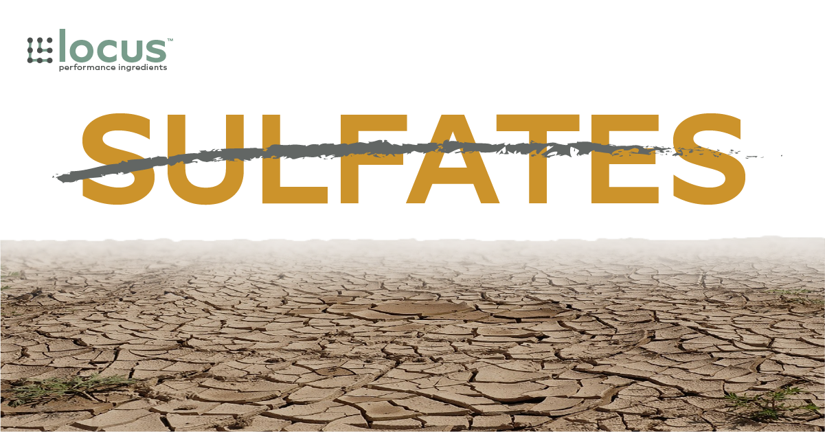 Going Sulfate-free: The Safer, Milder Alternative - Locus Performance 